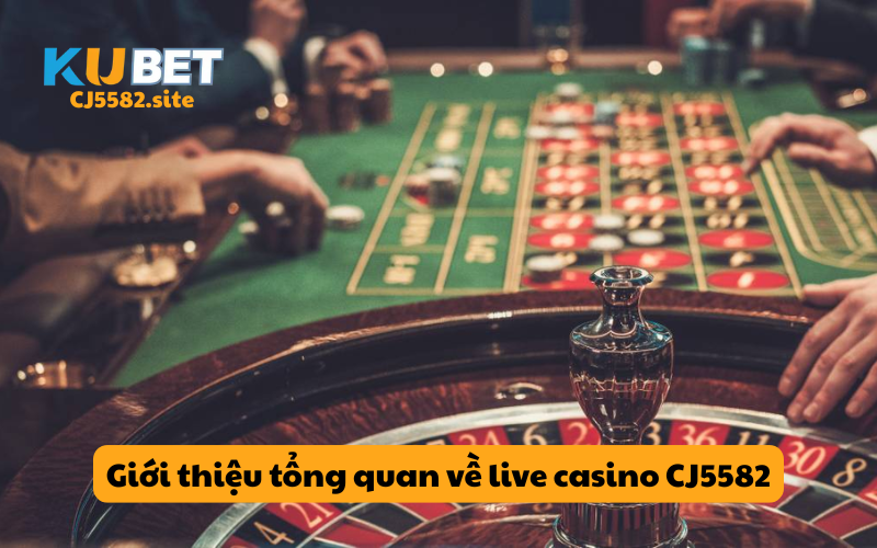 Giới thiệu tổng quan về live casino CN3789